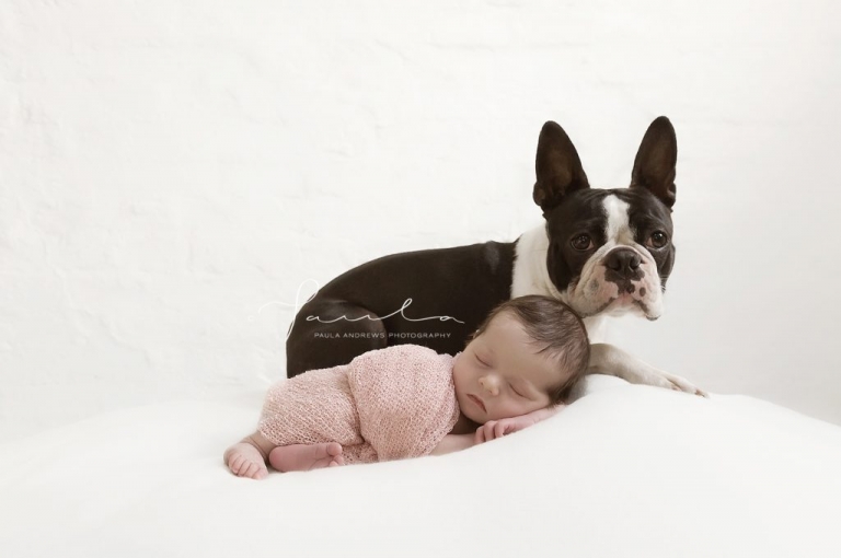 Newborn with dog_Melbourne Photographer