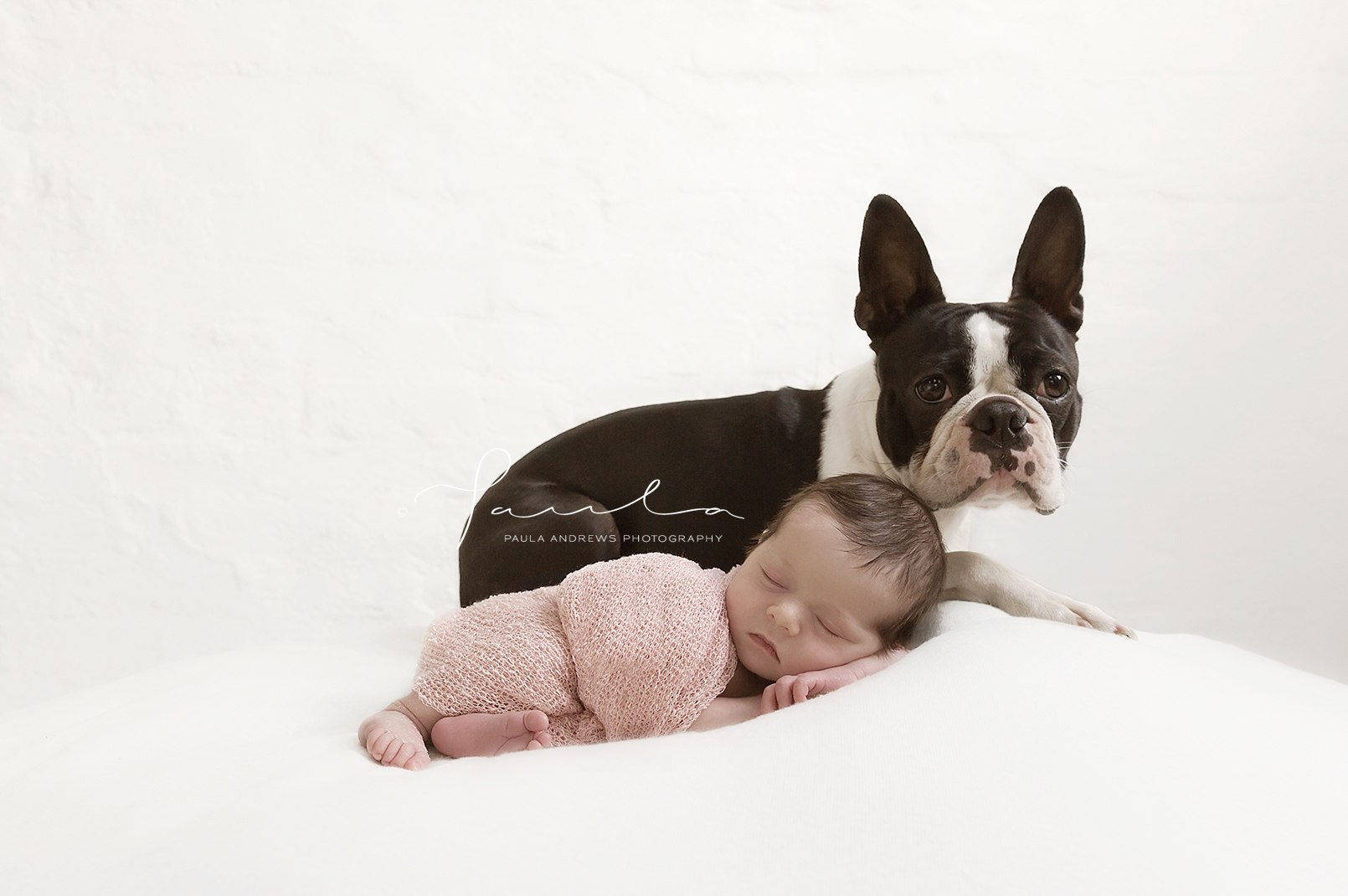 Siblings