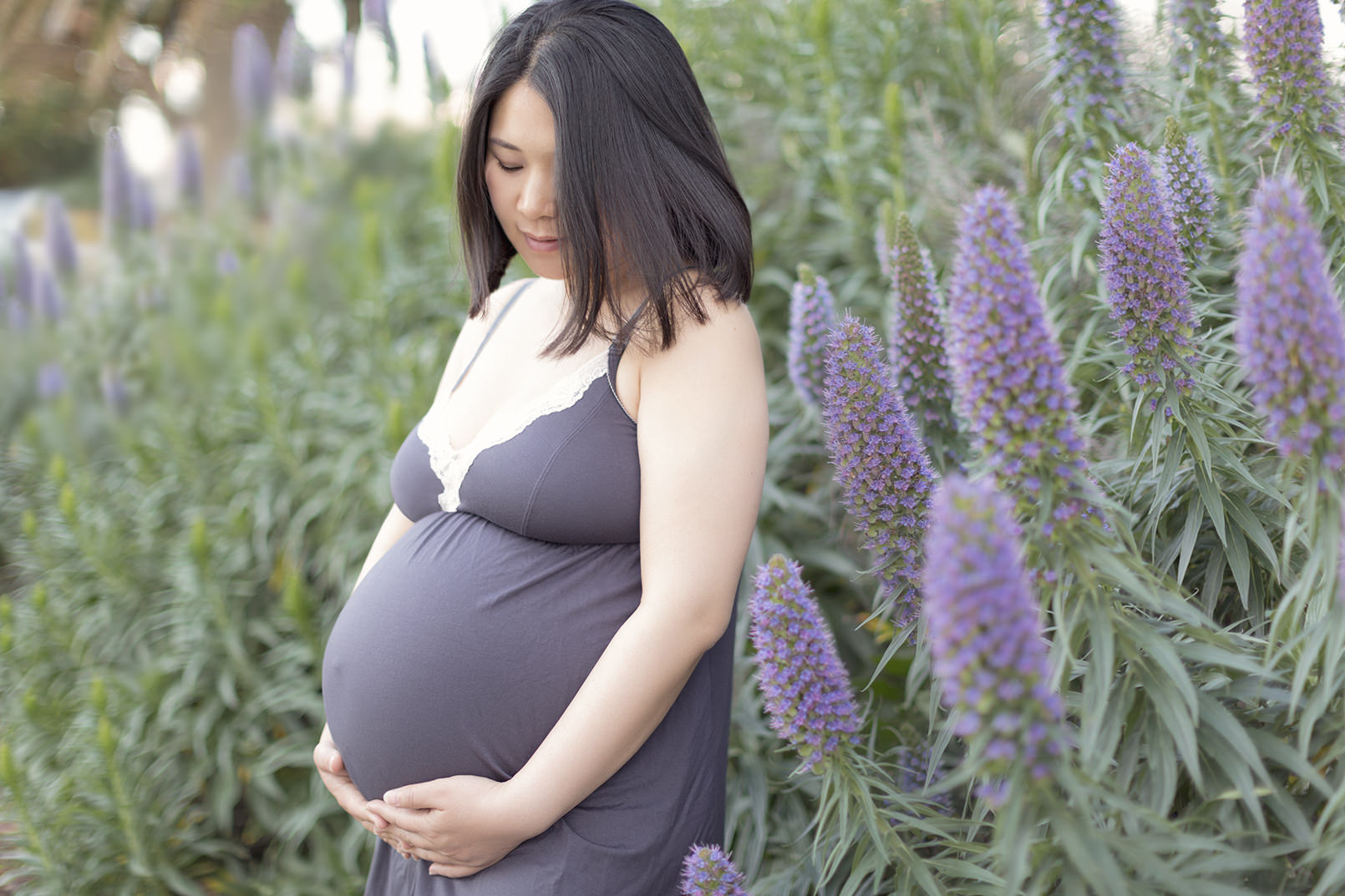 Pregnant lady surrounded by lavendar