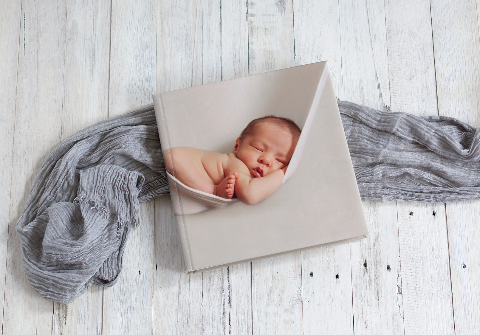 Photo Album by Paula Andrews Photography
