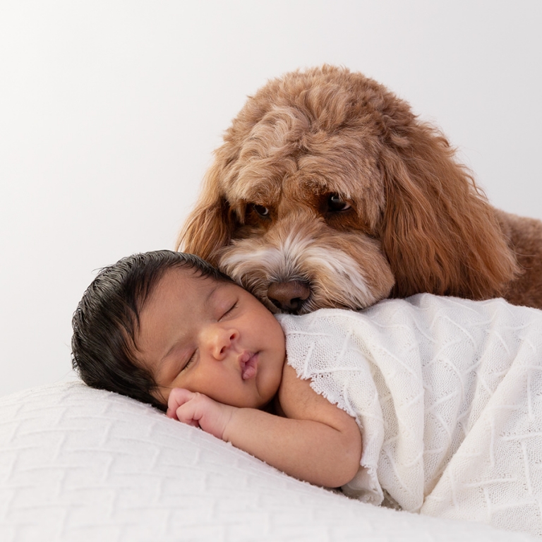 Newborn with family dog at newborn photoshoot